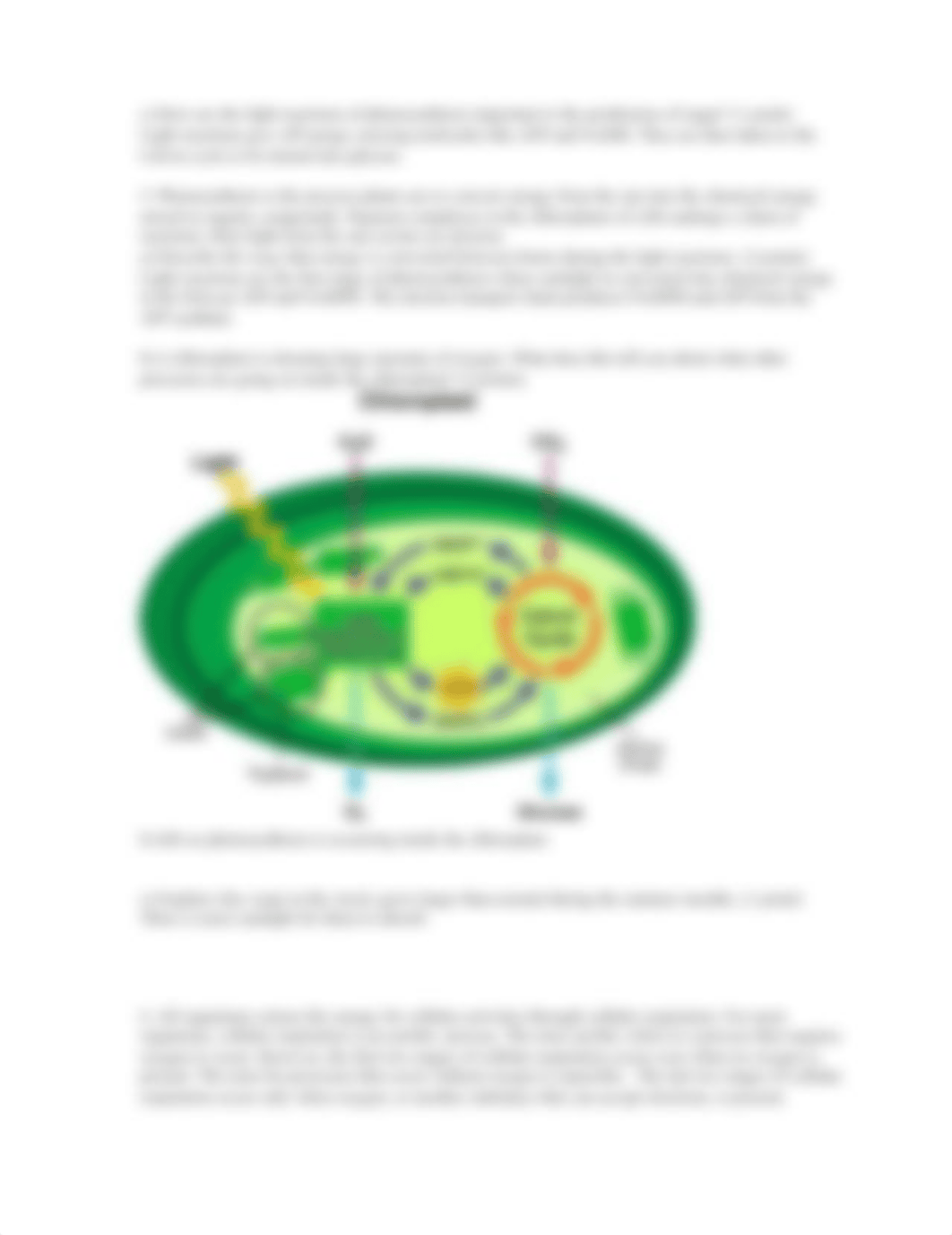 4.5.1 Practice - Energy Transfer (Practice).pdf_d1xgf6x6yp8_page2