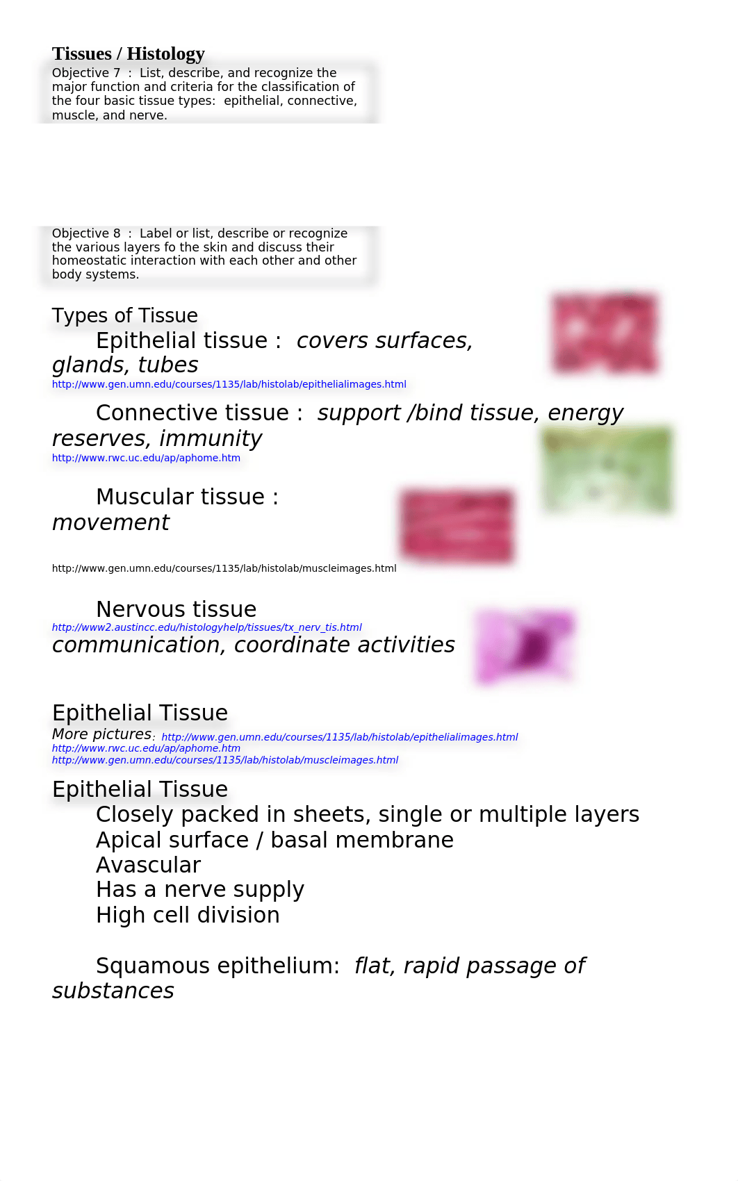 bio170_175tissue_skin (1).doc_d1xh96sygx7_page1