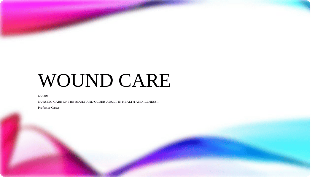 Woundcare Presentation.pdf_d1xhn8wqmtq_page1