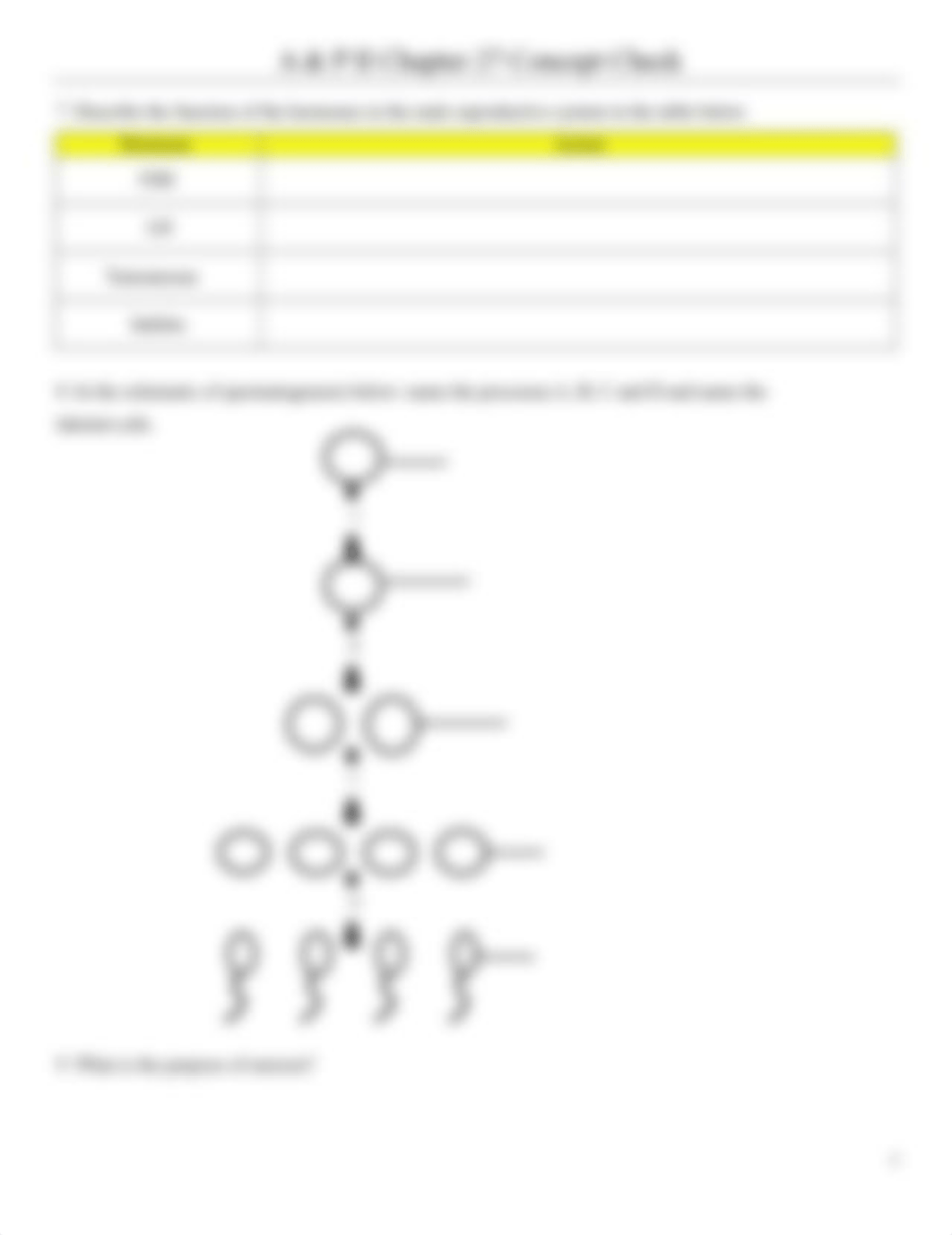 Chapter 27 Concept Check (A&P2) - The Male Reproductive System.doc_d1xi8p2pc53_page3