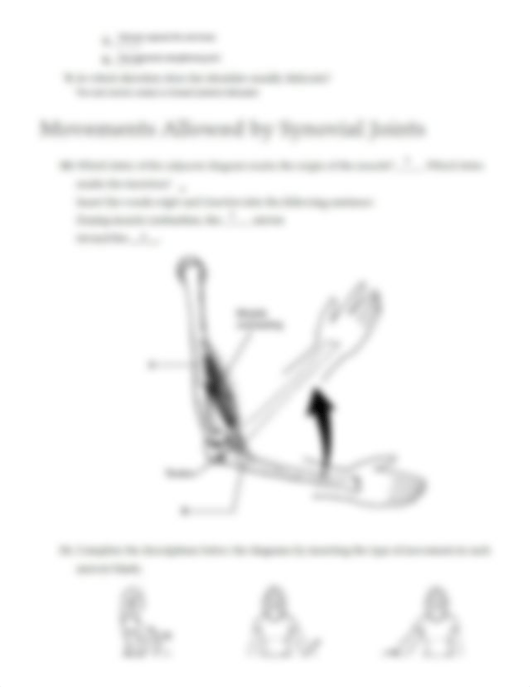 Ex11 Review sheet - Articulations and Body Movements (1).pdf_d1xjoulznv8_page4