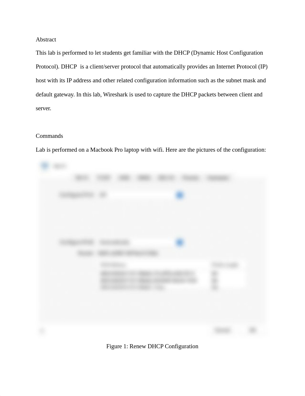 DHCP Lab Report.pdf_d1xnbvdvff3_page2