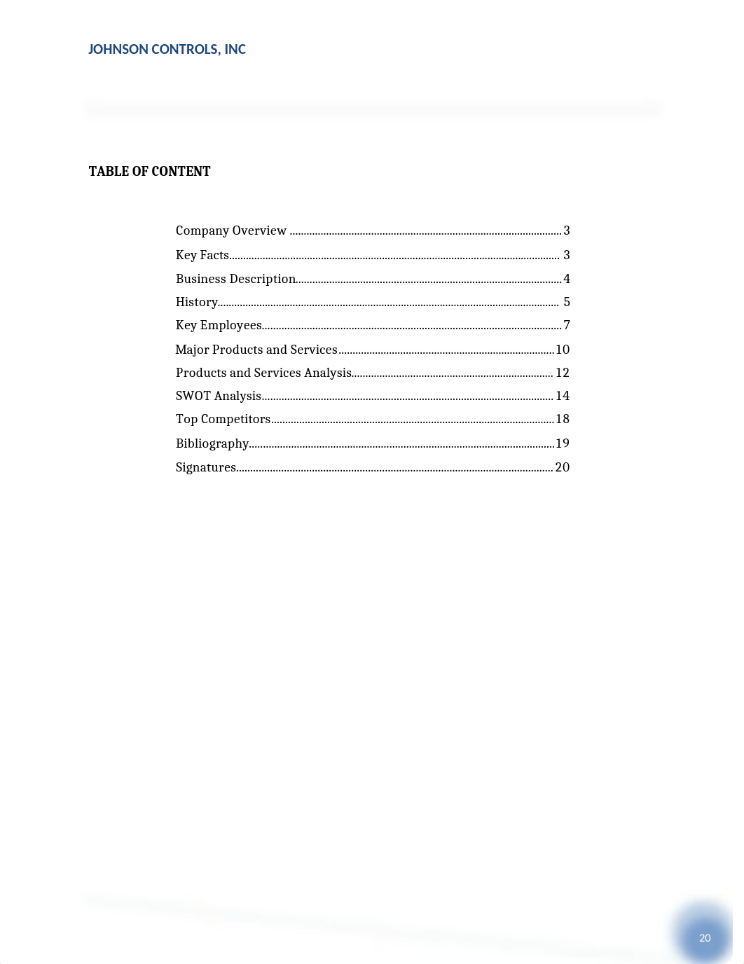 SWOT Analysis (2).docx_d1xp856lyn4_page2