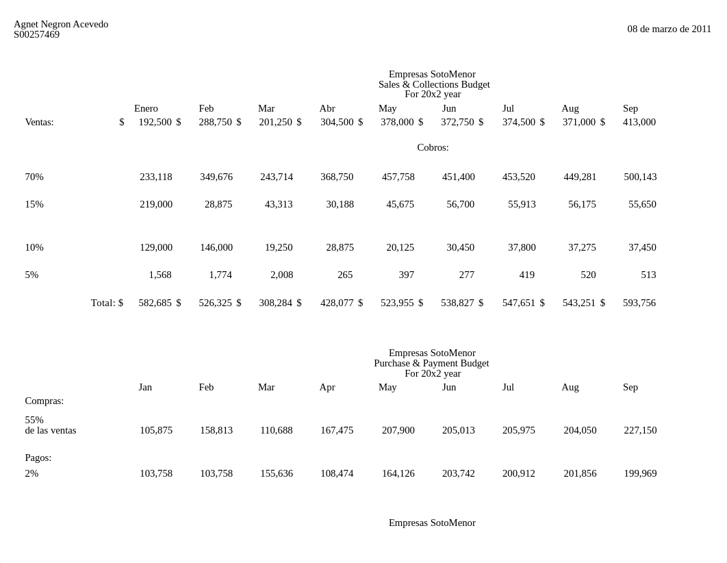 Presupuestos Yarlene Vargas.xlsx_d1xq0qm0dot_page1