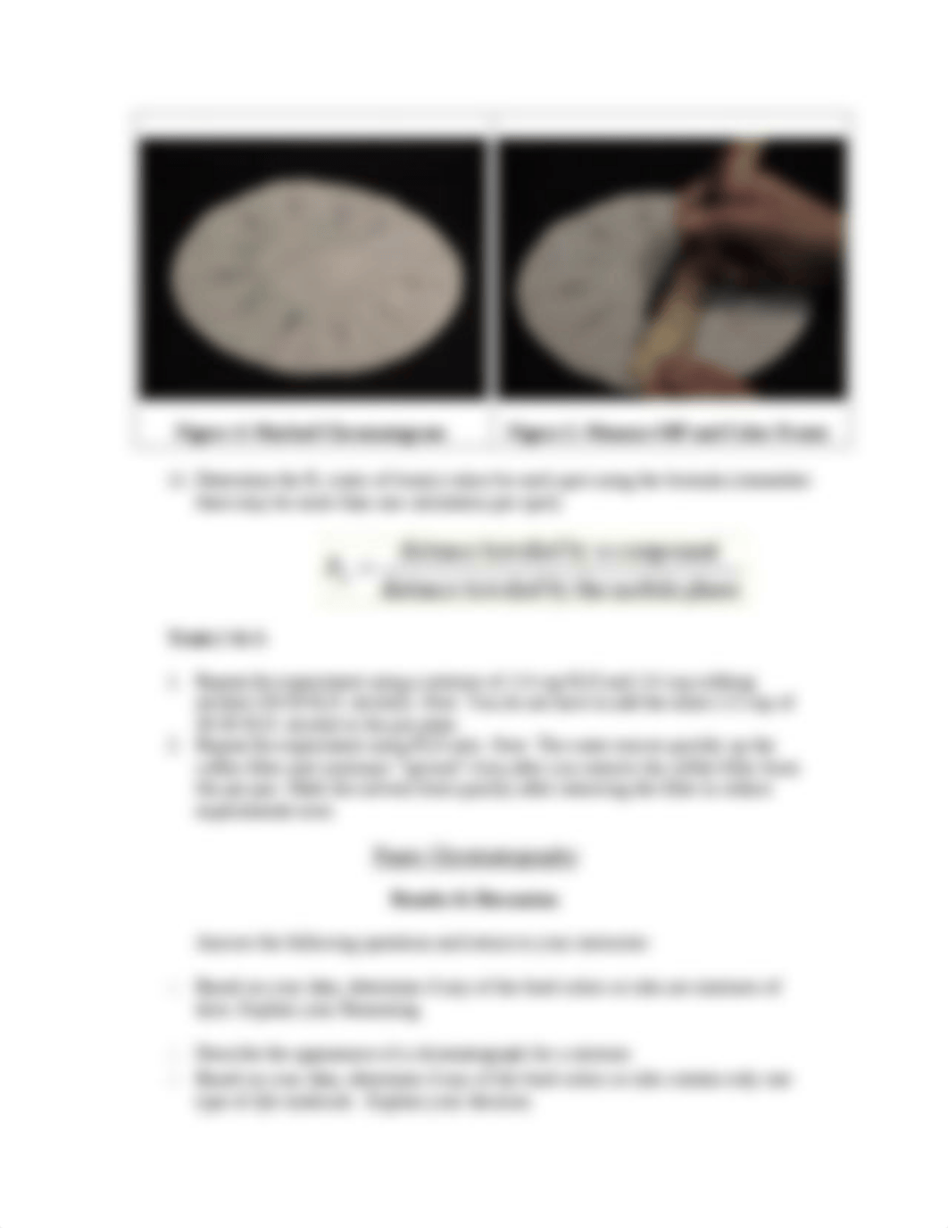 Paper Chromatography Lab (2).doc_d1xrr329did_page3