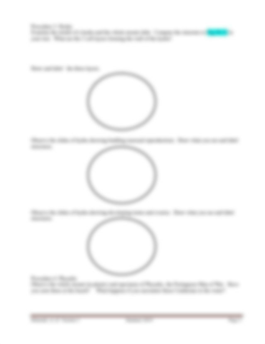 bio2 lab3.pdf_d1xv5cw2ecr_page3