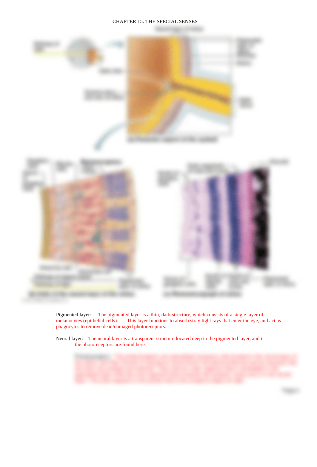 Ch. 15 Lecture Outline.docx_d1xw583jpji_page4