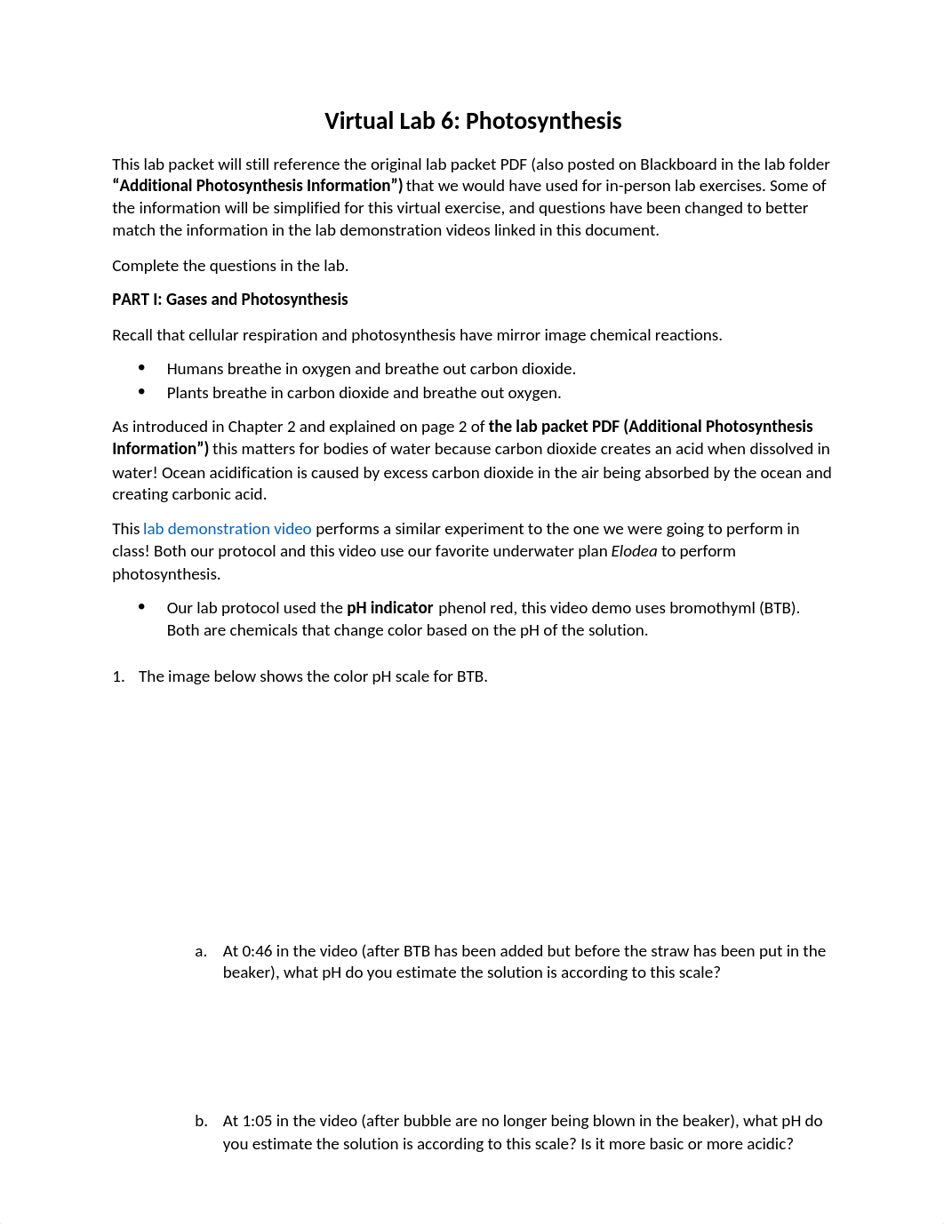 Chapter 7 Photosynthesis Lab.docx_d1xwwf2y948_page1