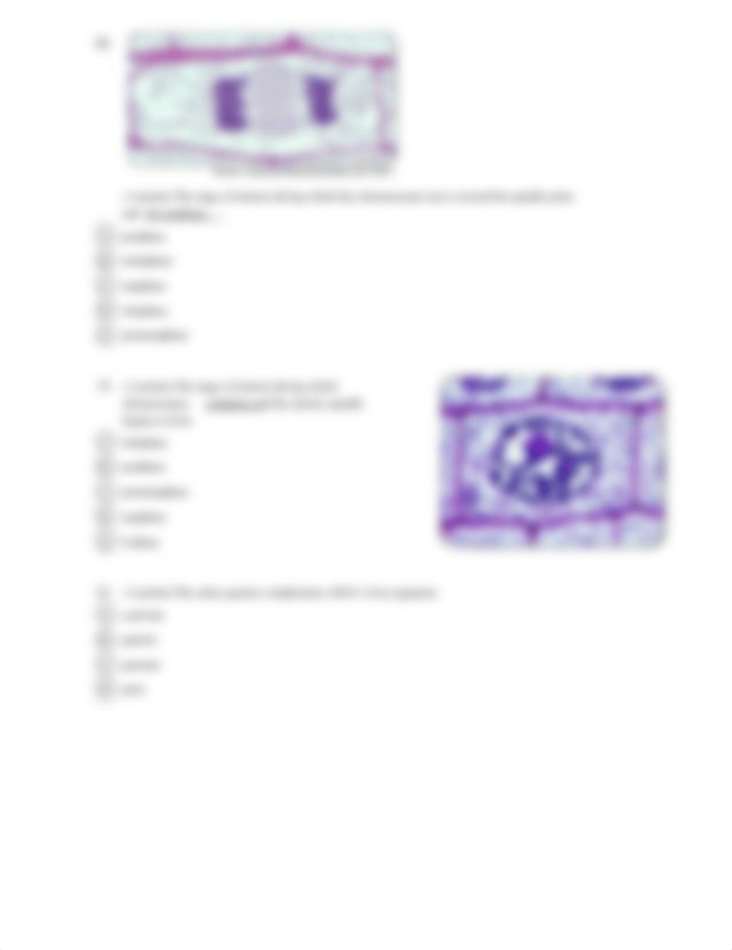 Exam 03-BIO156-OpenStax Concepts of Biology-Chapters 6, 7, & 8.pdf_d1xx244wnwn_page4