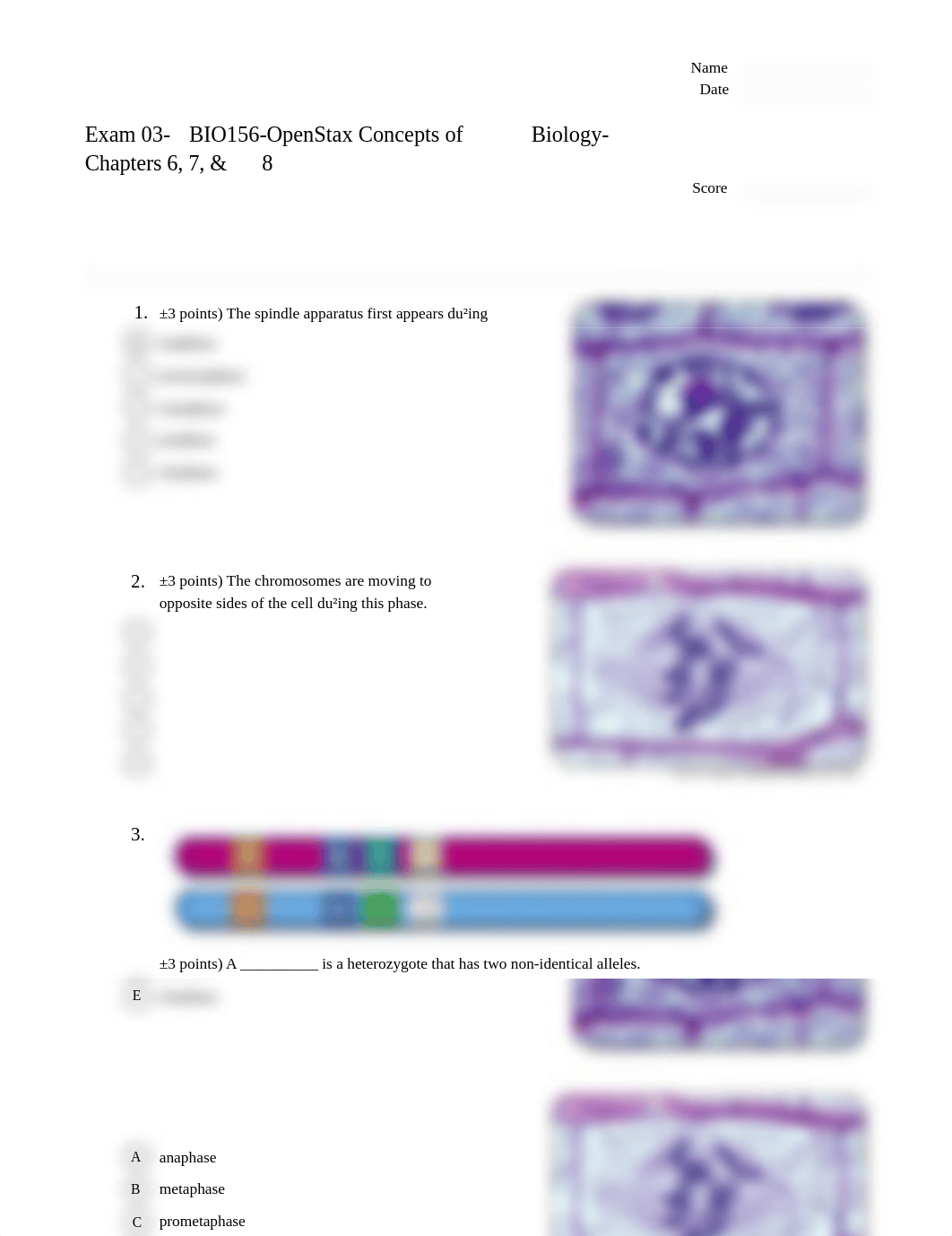 Exam 03-BIO156-OpenStax Concepts of Biology-Chapters 6, 7, & 8.pdf_d1xx244wnwn_page1