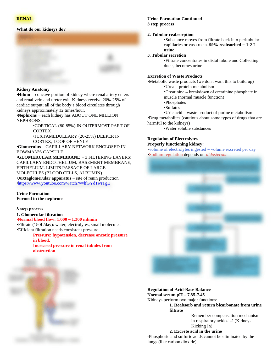 Renal Review.docx_d1xxws0pi67_page1