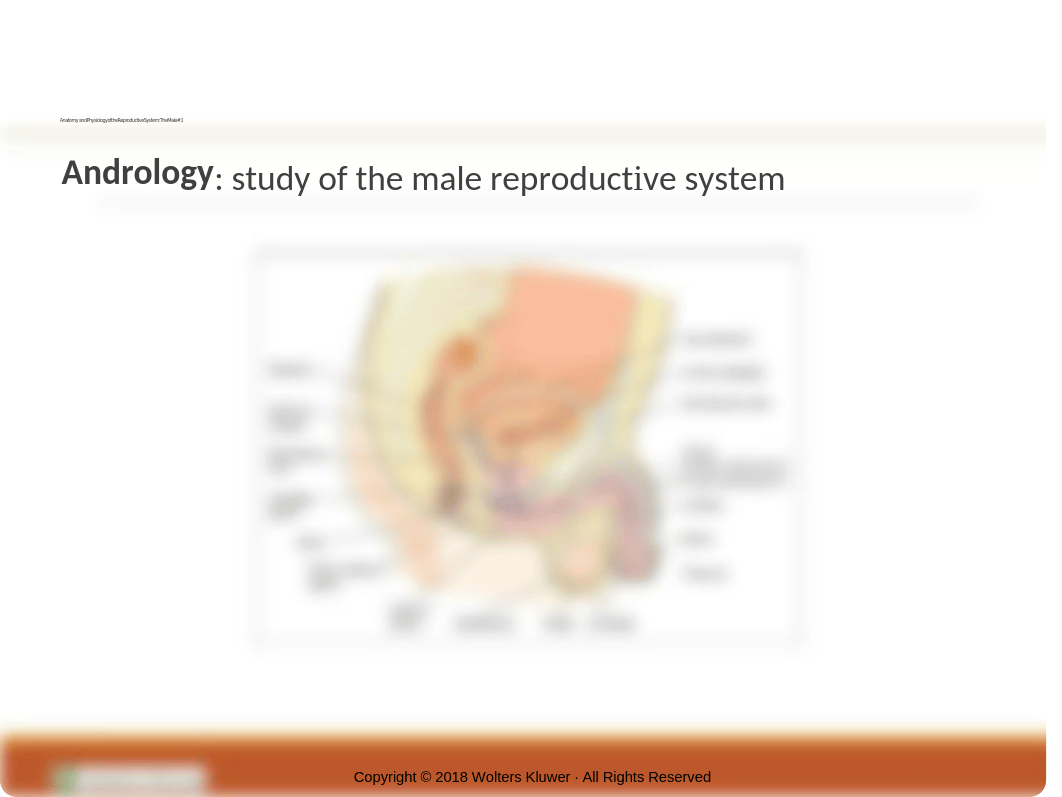 Ch 5 The Nursing Role in Reproductive and Sexual Health(2).pptx_d1y1rdgrux5_page3