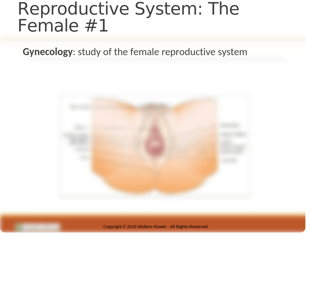 Ch 5 The Nursing Role in Reproductive and Sexual Health(2).pptx_d1y1rdgrux5_page5