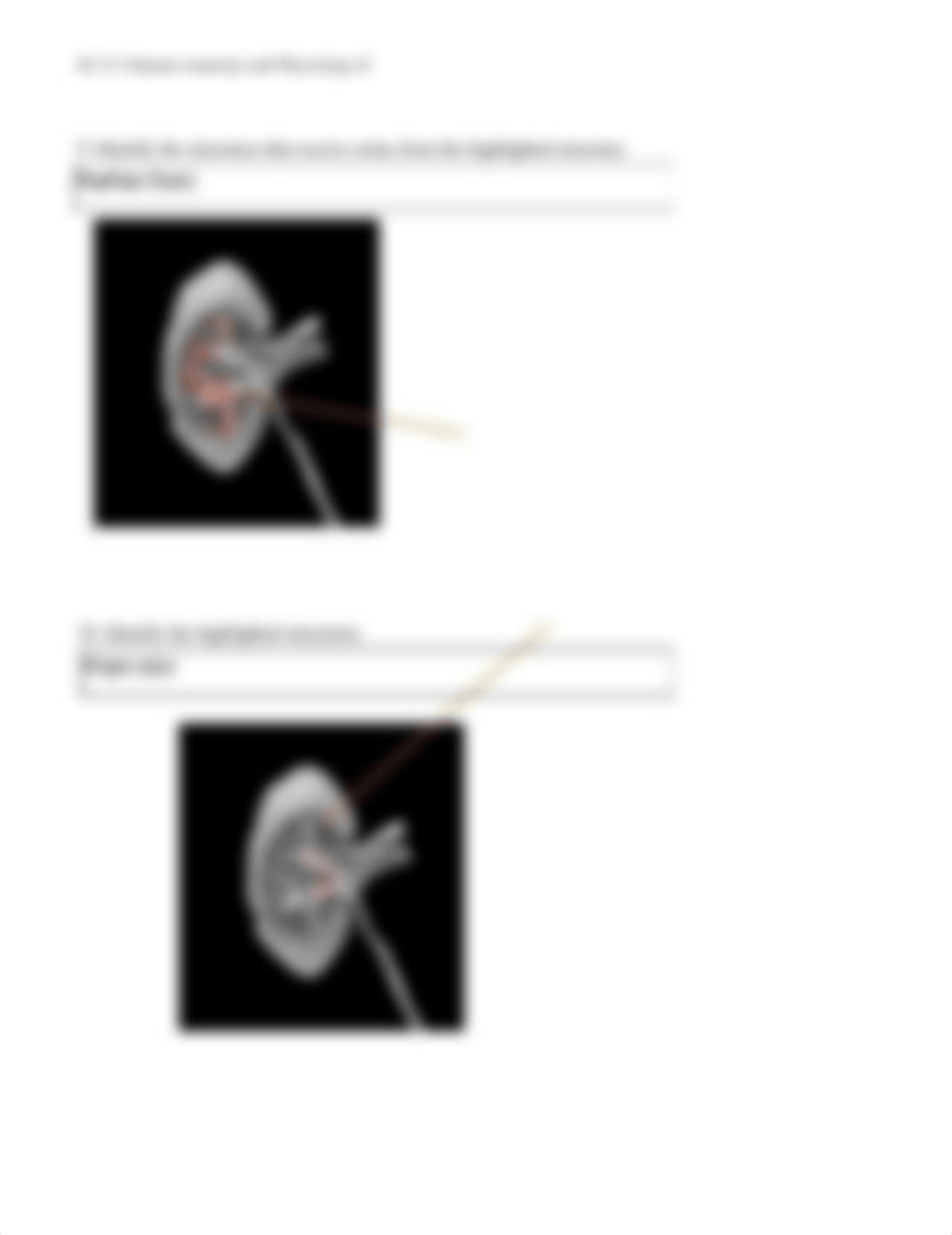 AP2 Unit 6- Lab Part 2_d1y22pm0yan_page5