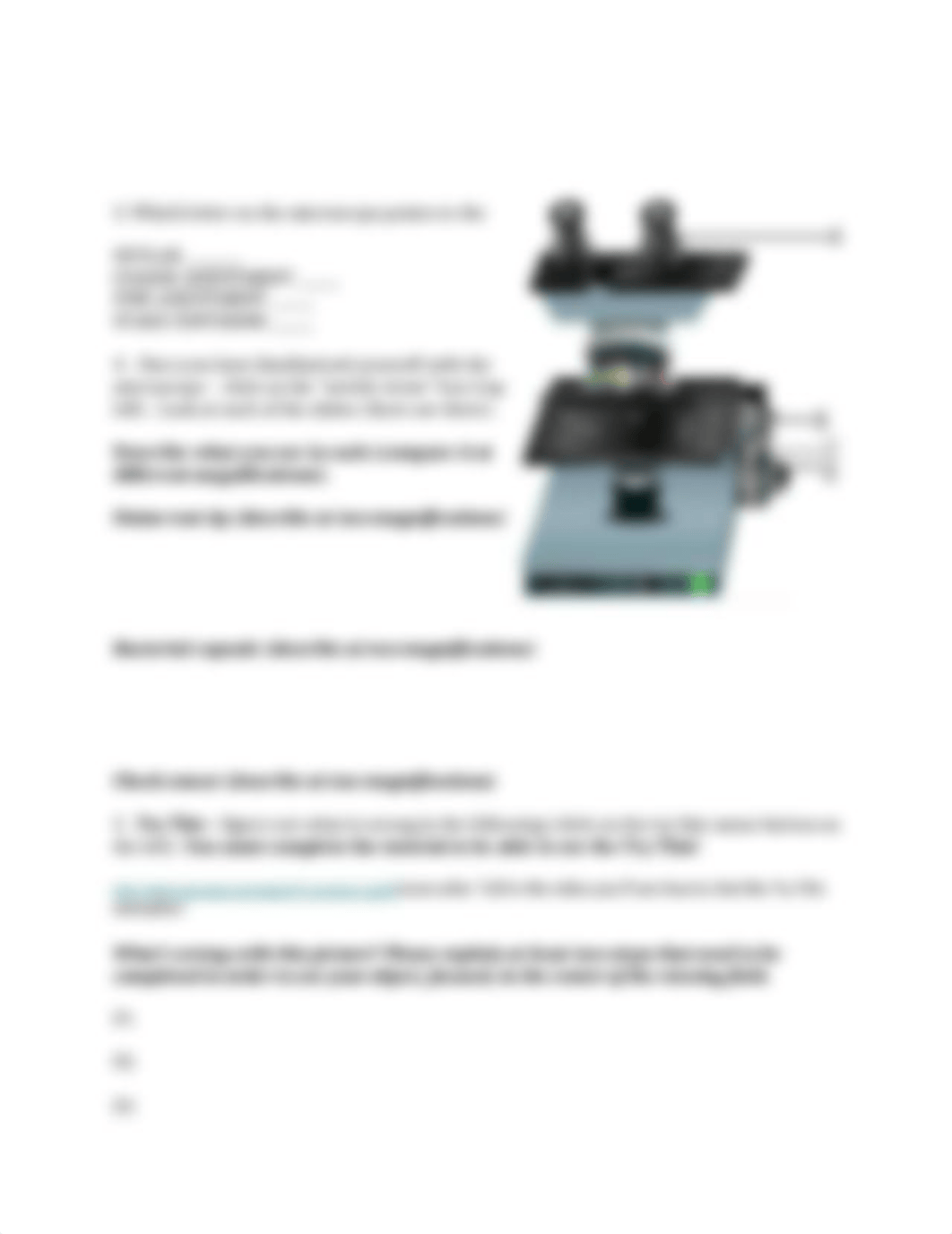 VirtualMicroscopeWorksheet.docx_d1ygpzge8hg_page2