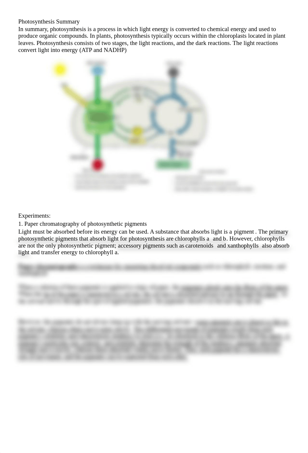 BIO 103 Lab 7 Photosynthesis Lab(1).pdf_d1yosnr35g3_page2