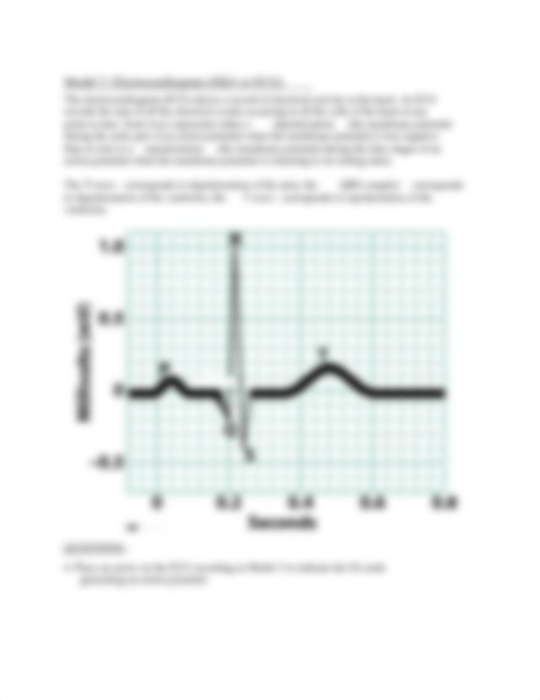 heart electrical activity .docx_d1yrpnky806_page3