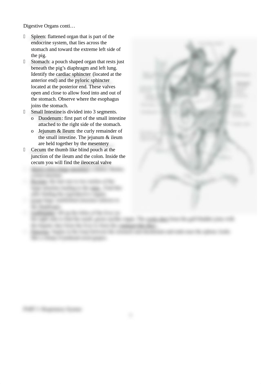 Fetal Pig Dissection Lab - Online.docx_d1ytolp0gz9_page3