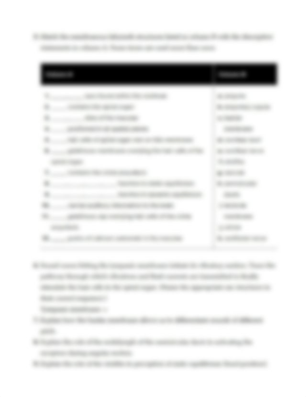 Ex25 Review sheet - Special Senses - Hearing and Equilibrium (1).pdf_d1z2gb9i26s_page3