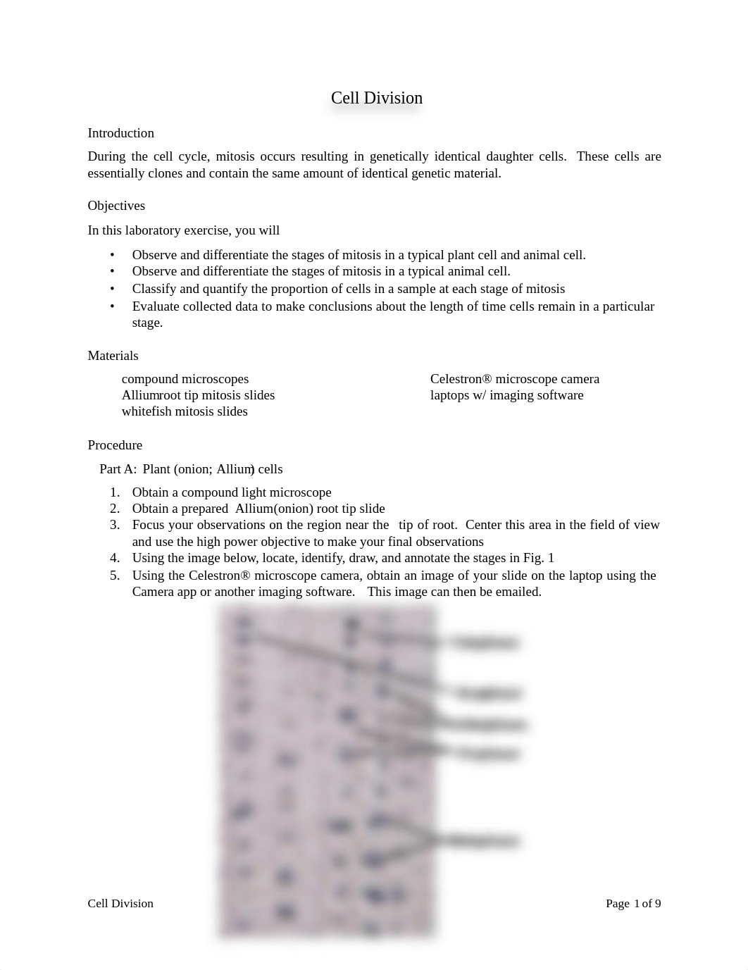 Lab 8 - Cell Division.pdf_d1z63a4kexf_page1