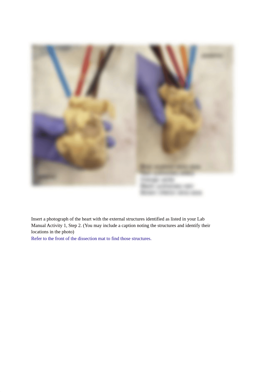 heartlab.pdf_d1z9jkkimtb_page2