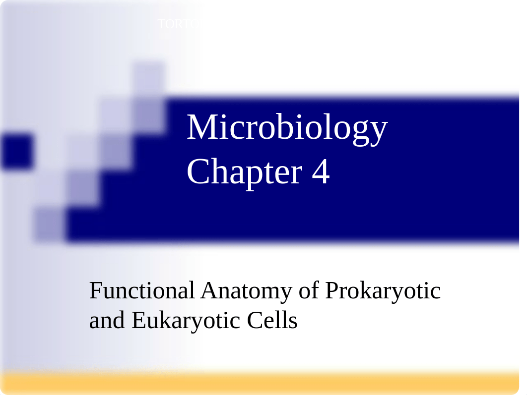 Microbiology Lecture, C-4, ppt slides.ppt_d1z9vzp5dbu_page1