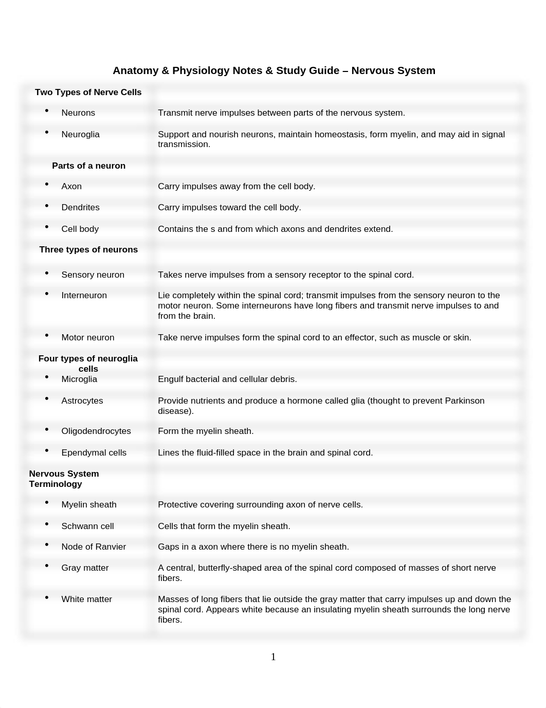 Nervous System Notes and Study Guide.doc_d1zd15v3jws_page1