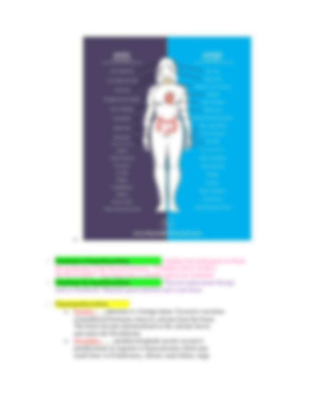 Endocrine study guide PN.docx_d1zdeg0nftr_page2