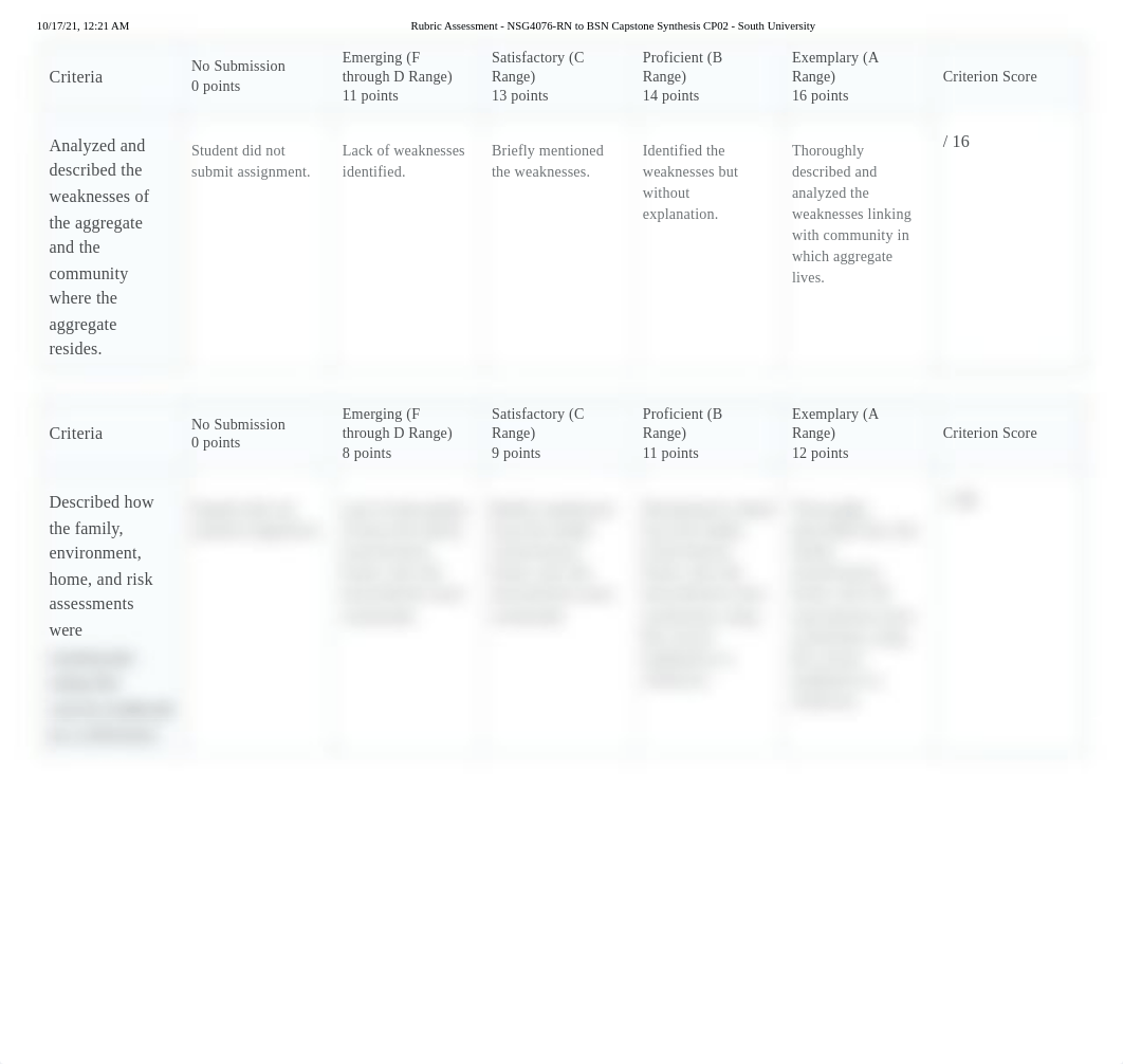 Rubric Assessment - NSG4076-RN to BSN Capstone Synthesis CP02 - South University 4.pdf_d1ze4g4e6ji_page2