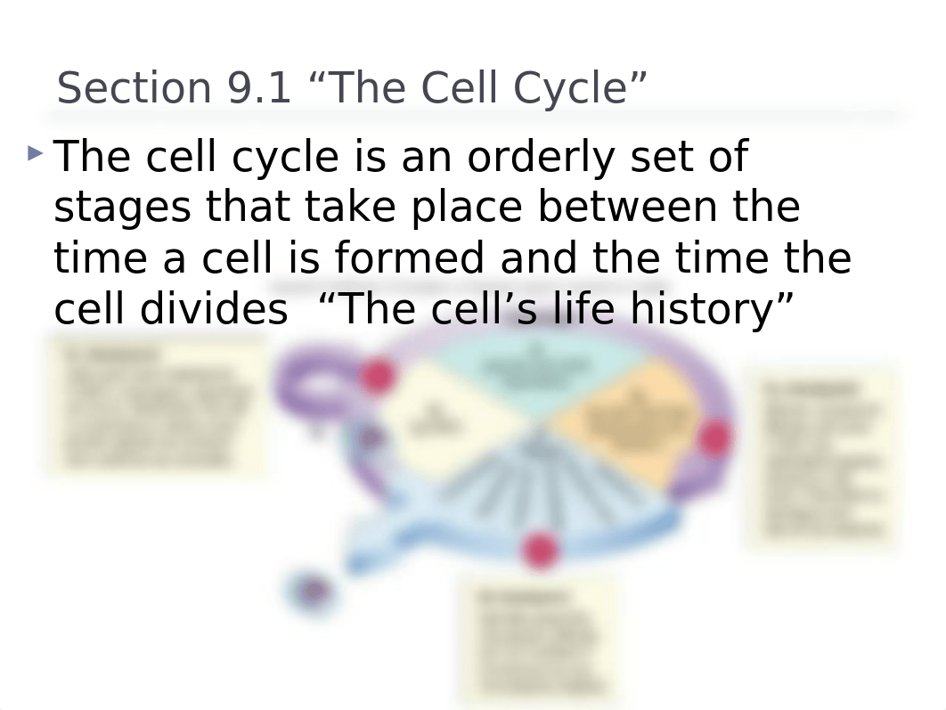 Ch. 9 - Mitosis(1)_d1zjjs40t0x_page3