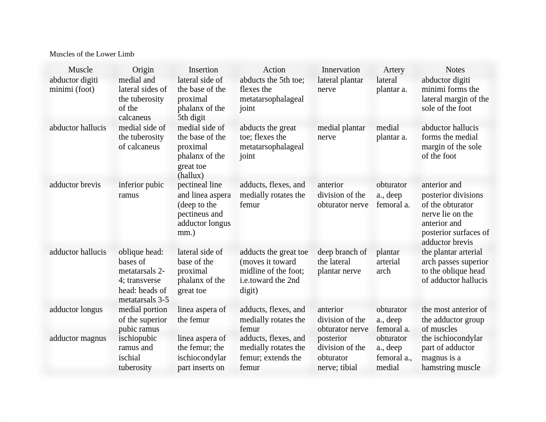 Muscles of the Lower Limb_d1zo8unl0gs_page1