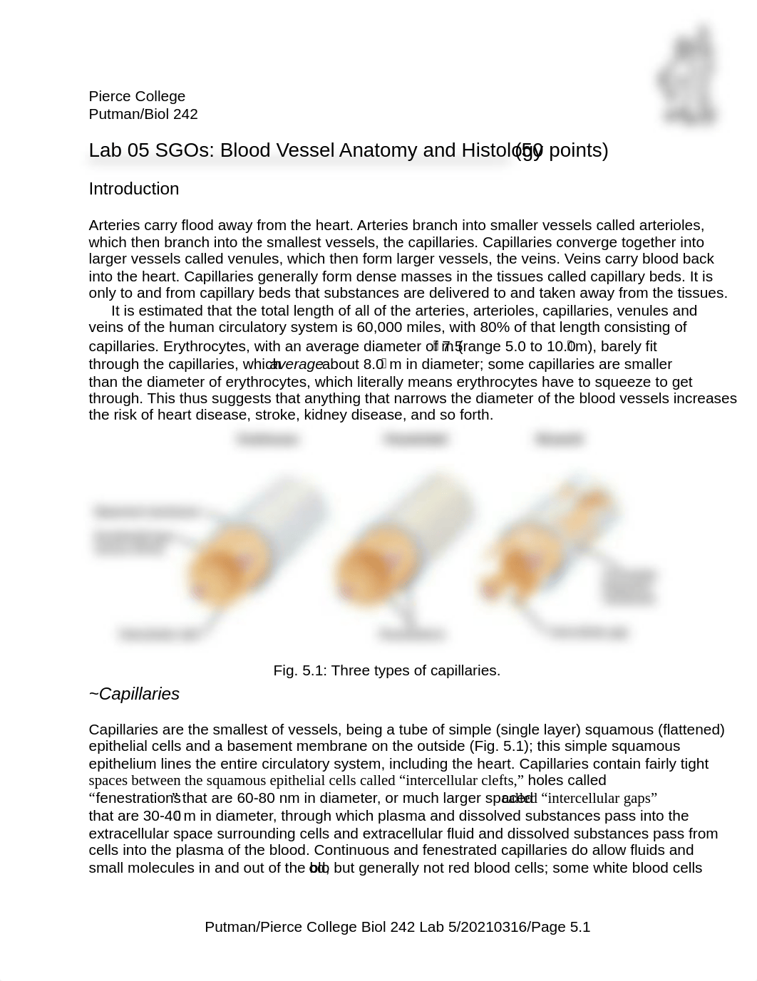 242 Lab 05b HO Blood V Hist and Anat 20210316a (2).pdf_d1zs01rxrqs_page1