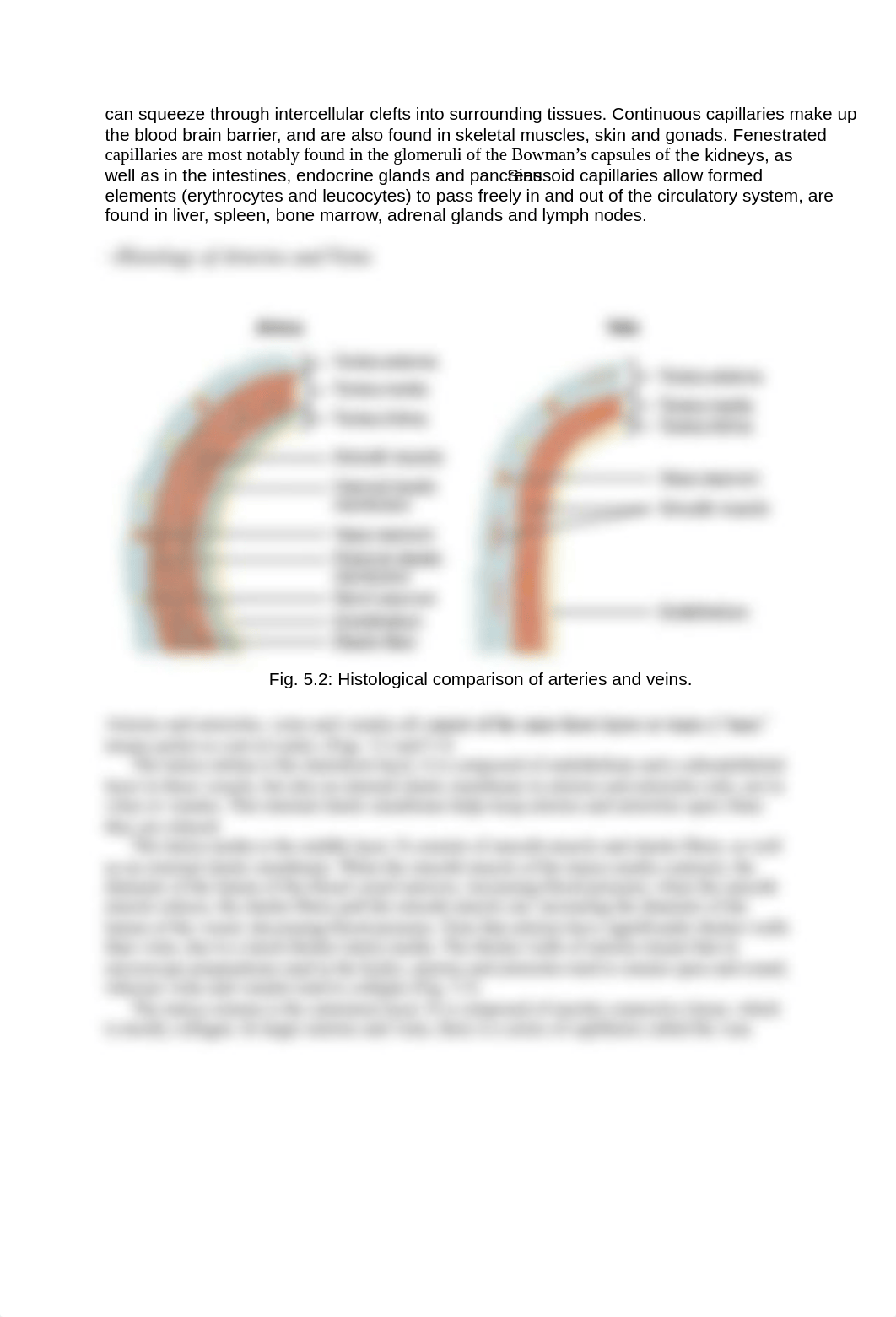 242 Lab 05b HO Blood V Hist and Anat 20210316a (2).pdf_d1zs01rxrqs_page2