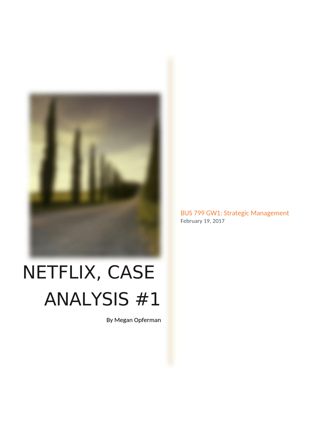 Opferman_Megan_BUS799-GW1_NetflixCaseAnalysis_d1zvuwge1o5_page1