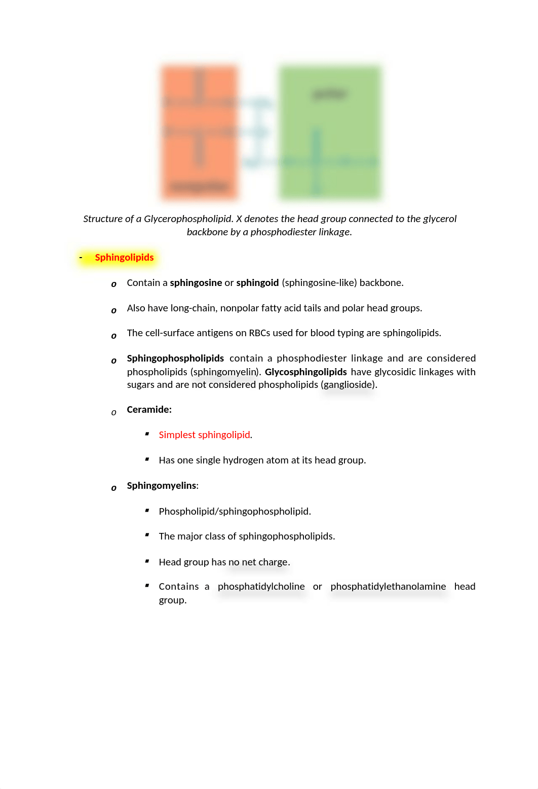 BC Chapter 5 Lipid Structure and Function .docx_d206wxp9fn2_page4