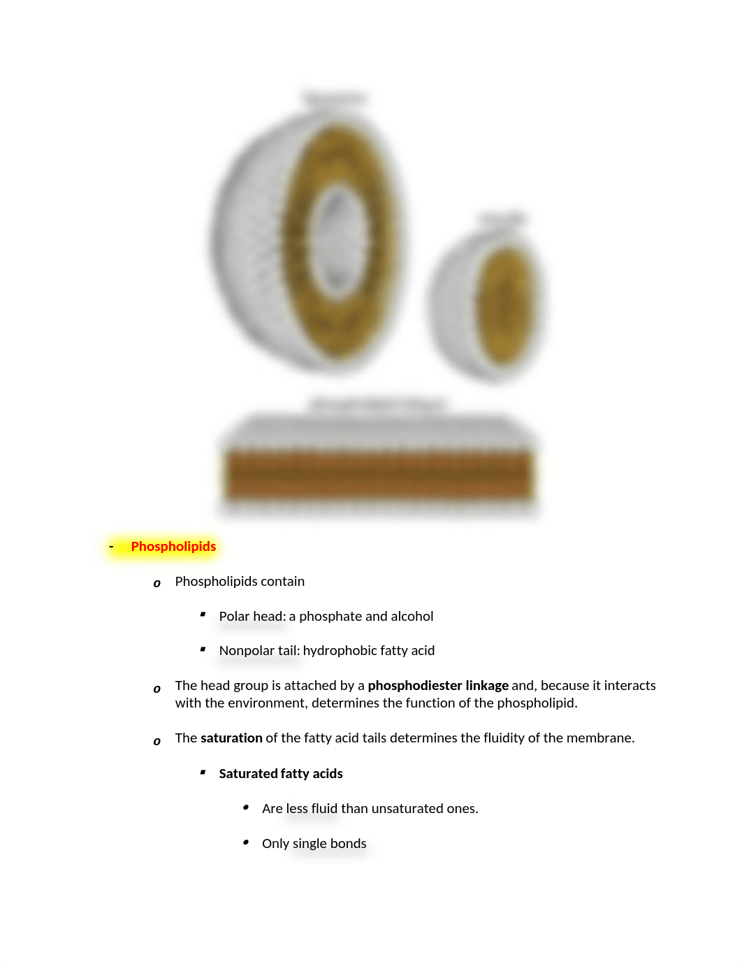 BC Chapter 5 Lipid Structure and Function .docx_d206wxp9fn2_page2