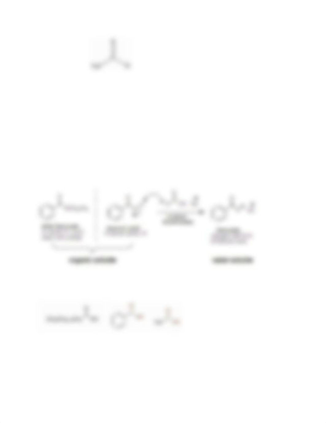 carboxylic acids and derivatives lab report.docx_d209ef388jy_page2