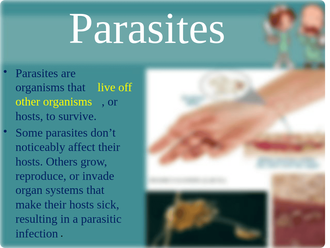 NU 220 Pharmacology Chapter 100     Ectoparasiticides (3)_d20gvej7mzs_page5