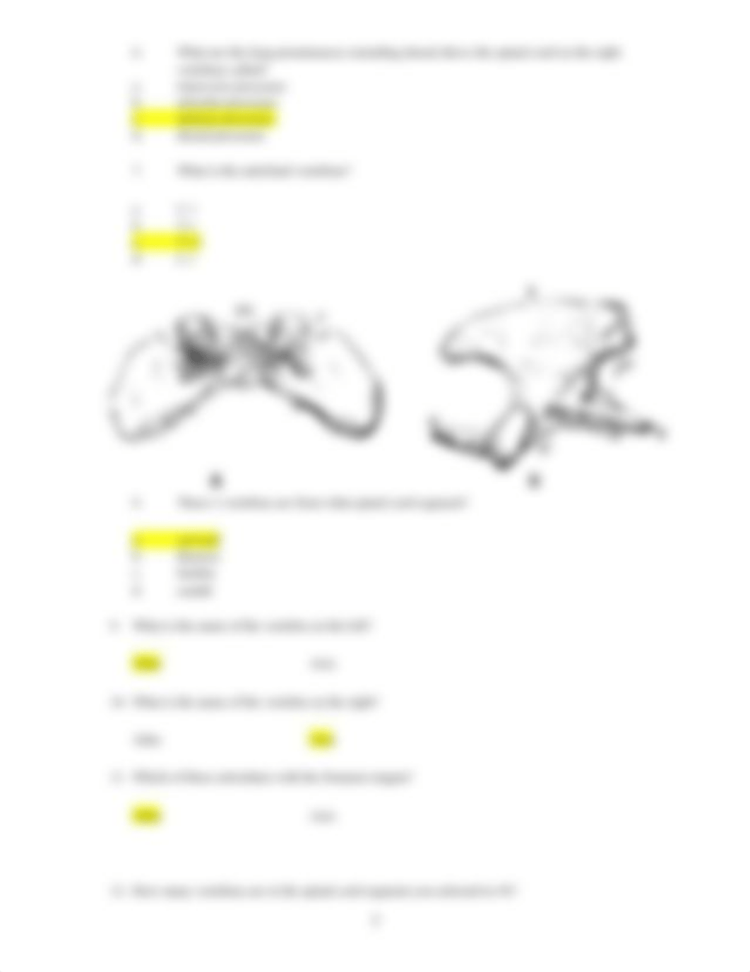 ASSN 3.1 Identifying Bone and Associated Structures.docx_d20gy6e81fe_page3