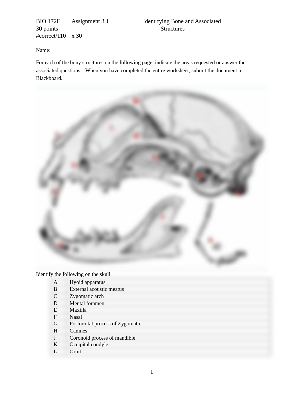 ASSN 3.1 Identifying Bone and Associated Structures.docx_d20gy6e81fe_page1