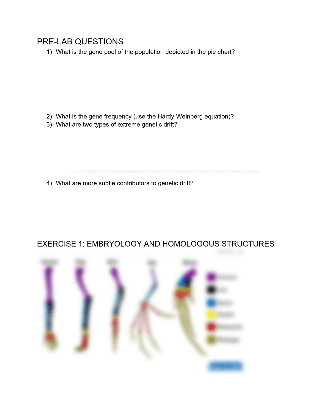 Lab 11 Evolution.pdf_d20mgj0mf6m_page1