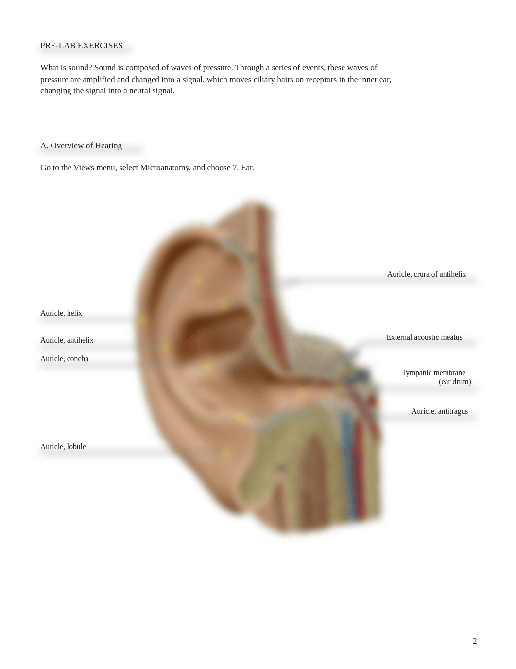 RB lab manual_senses ear_atlas.pdf_d20slsas04a_page2