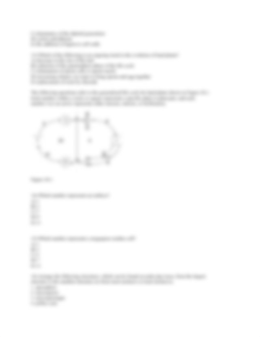 Exam_3white_Biol119_01_S13_d20vgy4ewva_page3