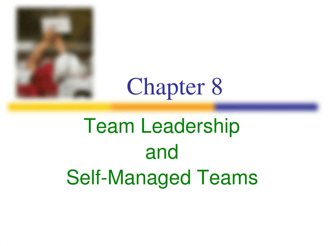 _Team Leadership and Self-Managed Teams_d20zzk1yylz_page1