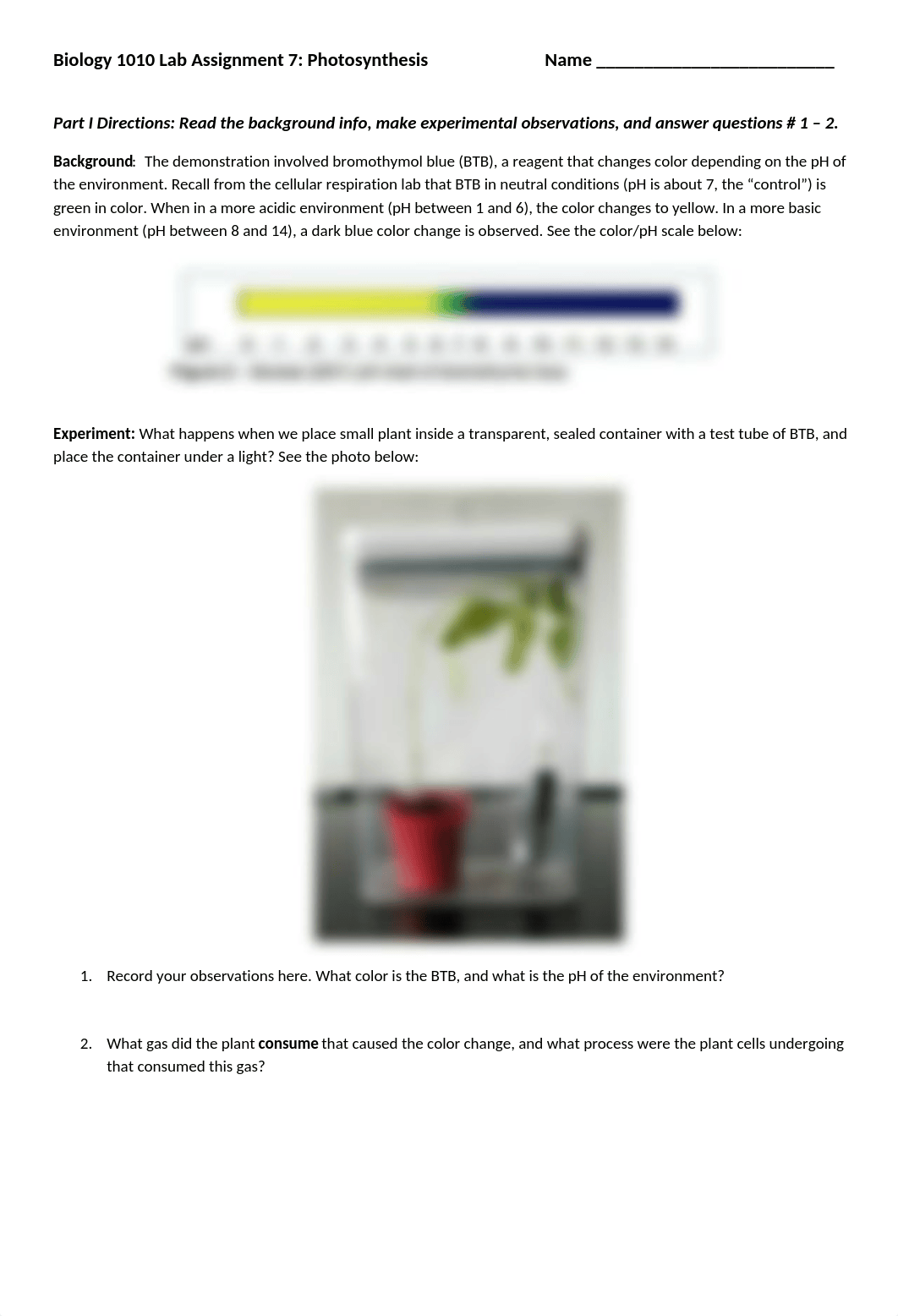 BIOL 1010 Lab 7 Assignment Photosynthesis.docx_d217l8u78jx_page1