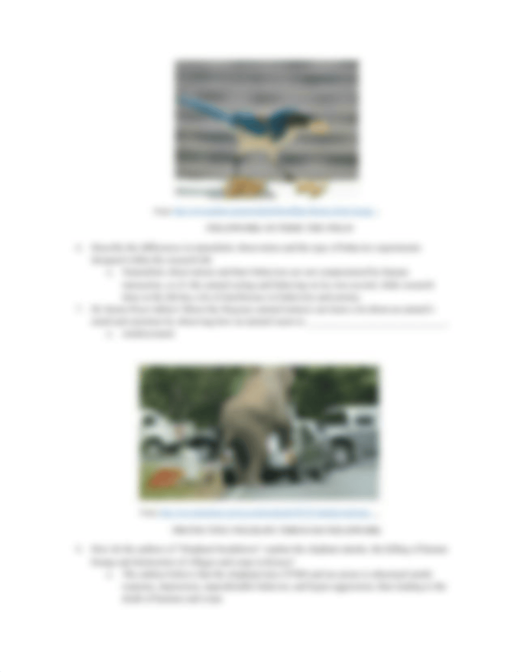 Completed. Animals Make Us Human Chapter 8 -.docx_d21f2spxiy9_page2