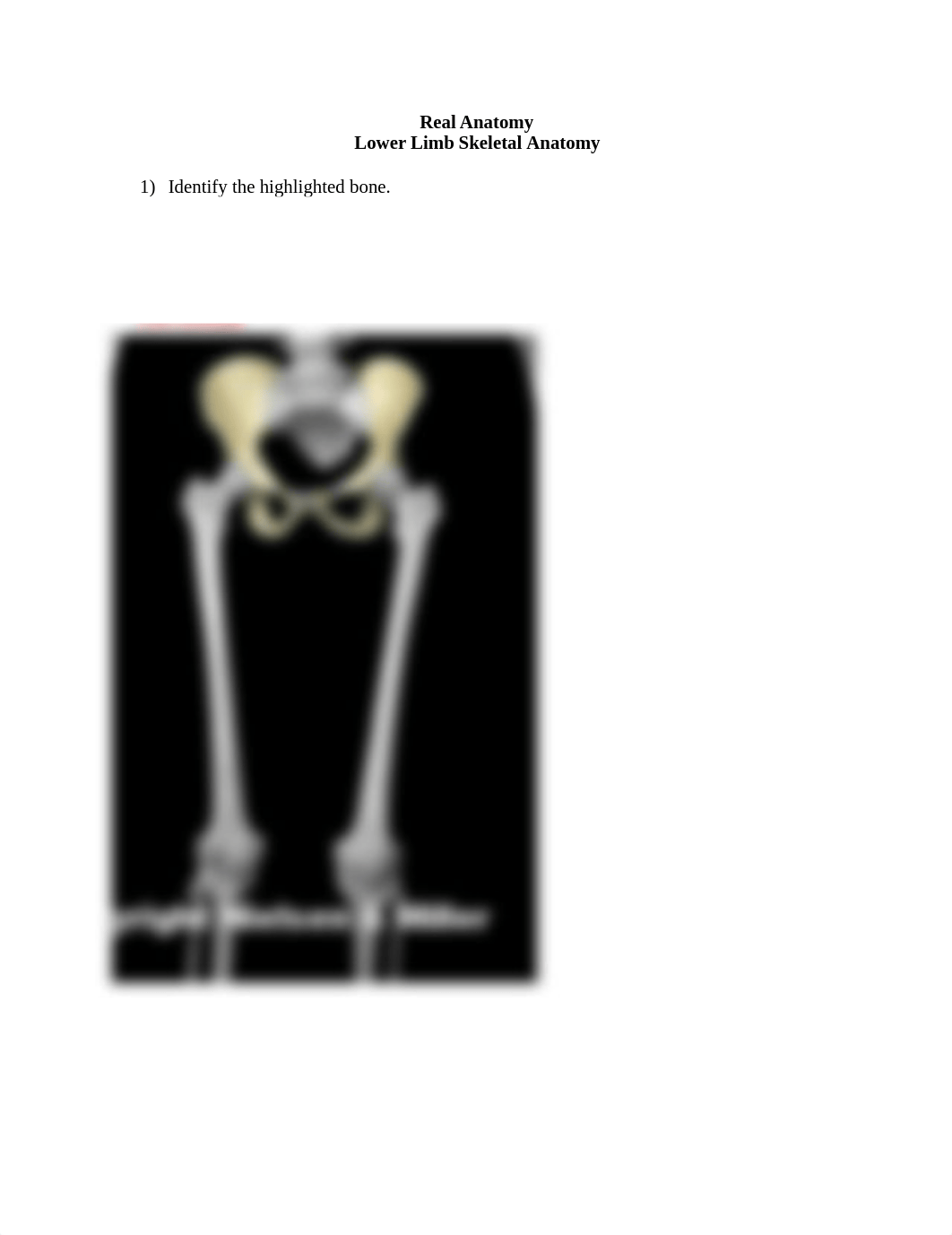 lower limb WS.docx_d21hpfy5jig_page1