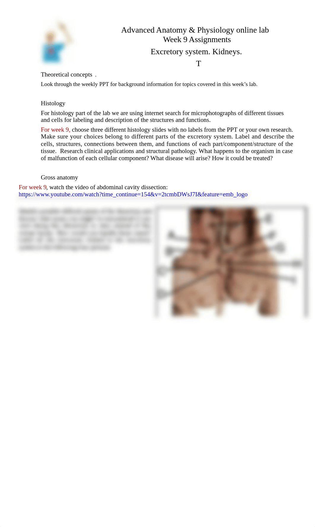 A&P online_ Week 9 assignments.doc_d21lryivddr_page1