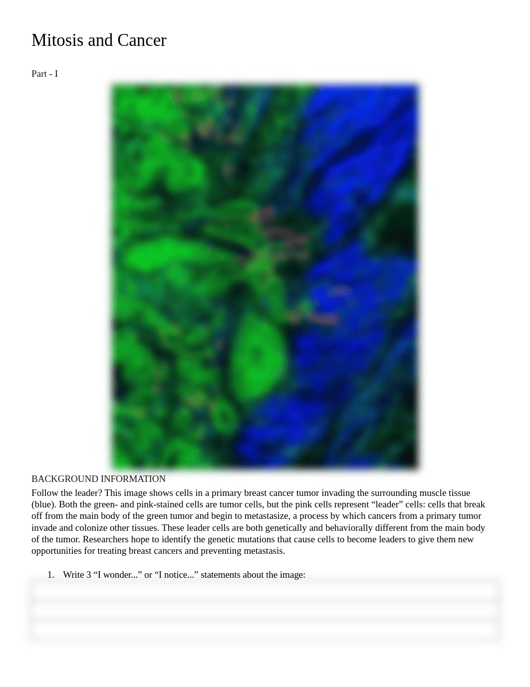 Mitosis and Cancer.docx_d21oxall8p8_page1