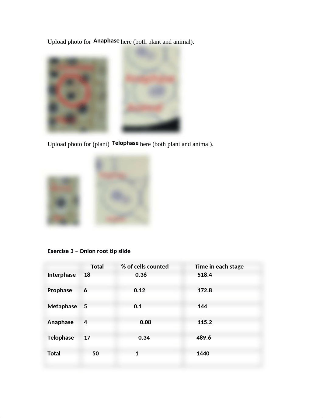 Worksheet 7 -  Microscopy, and Mitosis_new.docx_d21plfppo0f_page2